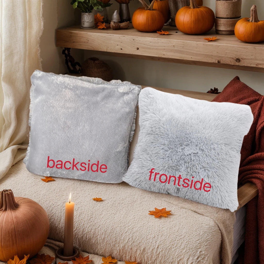 Lot de 2 housses de coussin en fausse fourrure